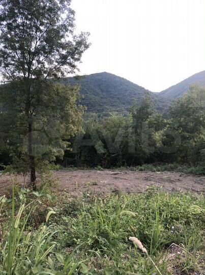 Участок 6 сот. (СНТ, ДНП)