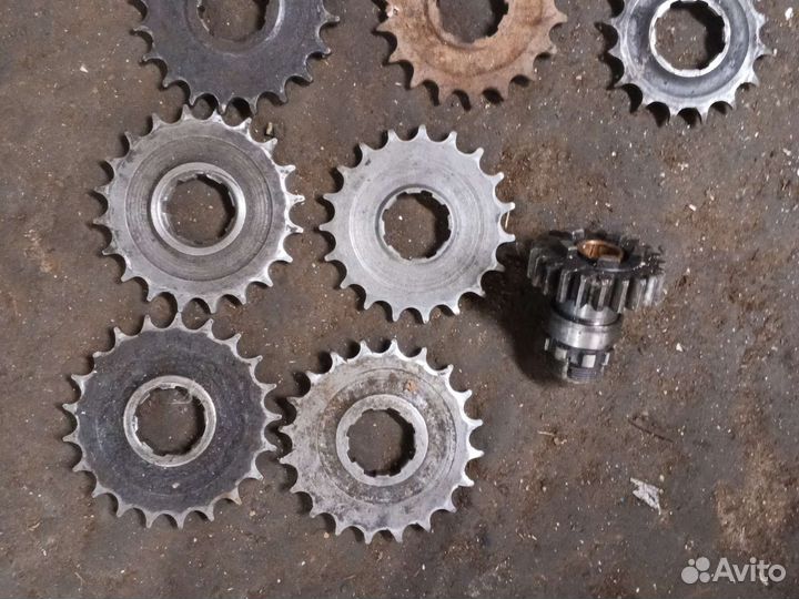 Ведущие звёзды Иж