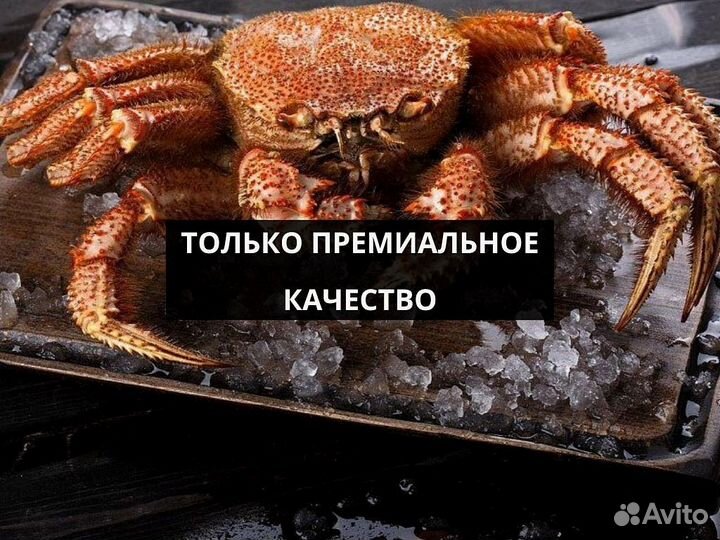 Краб Волосатик опт