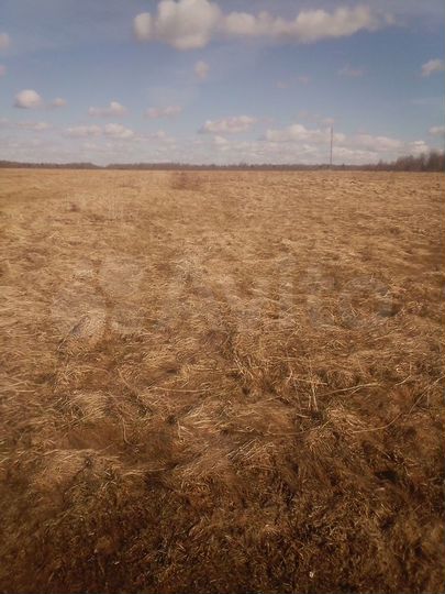 Участок 38 сот. (ИЖС)