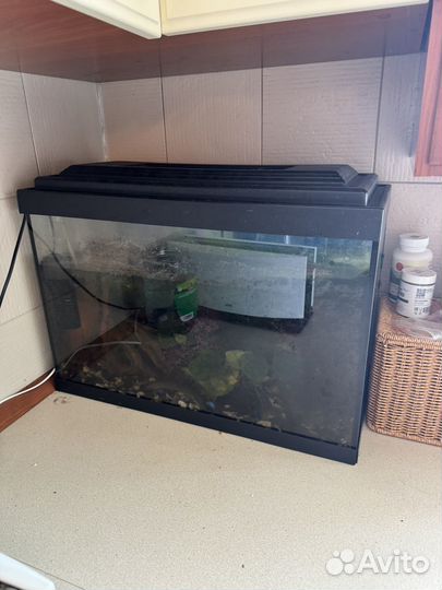 Аквариум с фильтром и рыбками