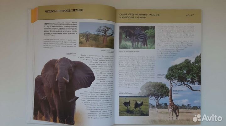 Энциклопедия Чудеса света