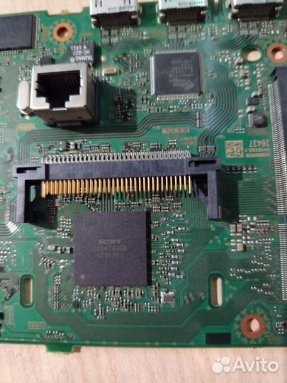 Пальта Майн