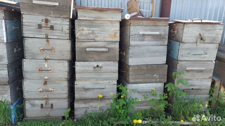 Продам ульи для пчел