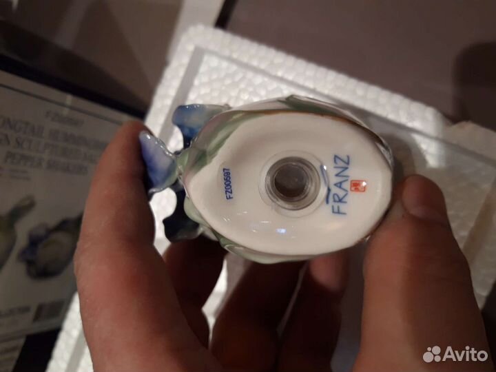 Salt &Pepper Long Tail Hummingbird