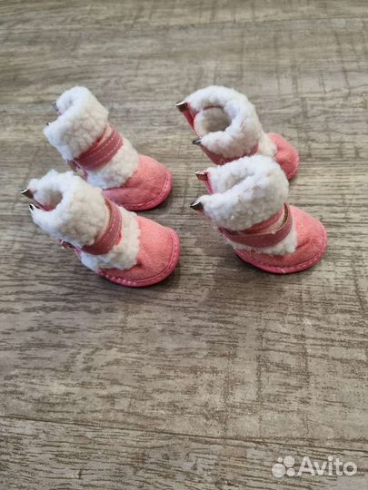 Обувь для маленьких собак