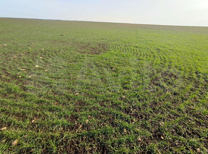 Участок 5,9 га (СНТ, ДНП)