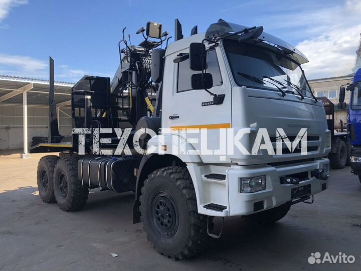 КАМАЗ 43118 с КМУ, 2022