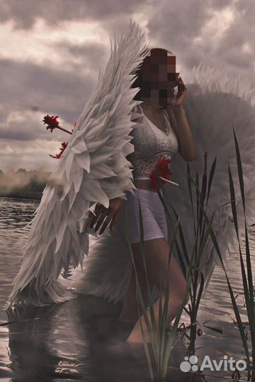 Крылья аренда