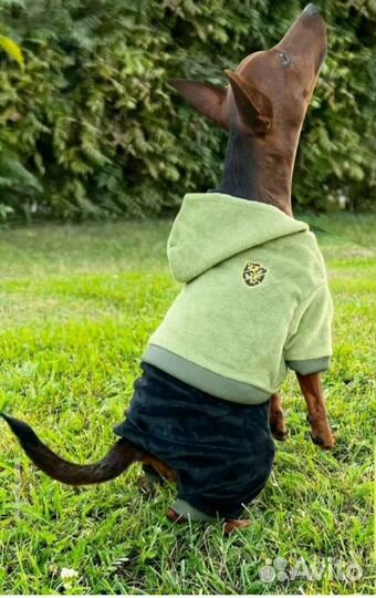 Комбинезон для собак