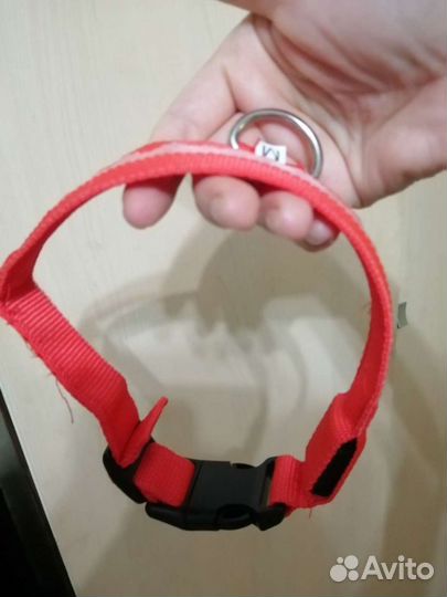 Ошейник для собак