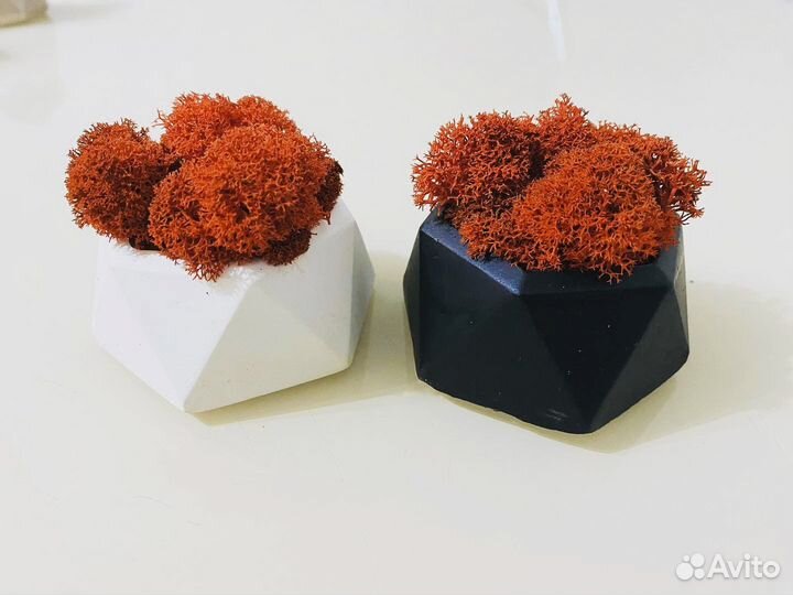 Горшочки со стабилизированным мхом