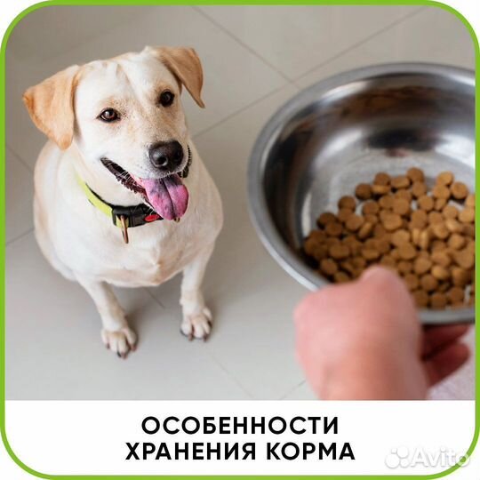 Ветеринарный врач на дом. Ветеринарная помощь