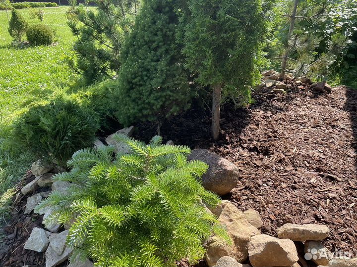 Мульча сосновая кора