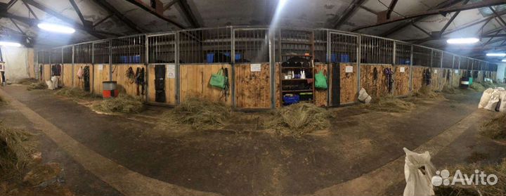 Постой в кск триумф