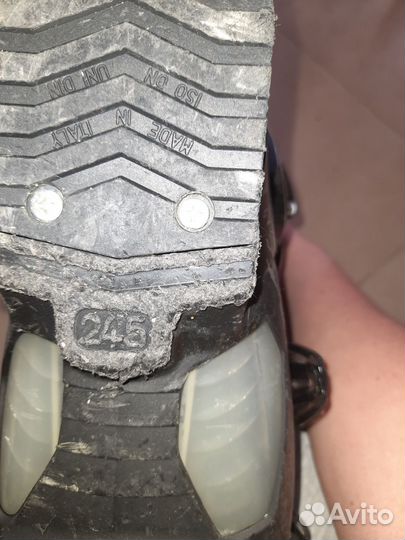 Горнолыжные ботинки dalbello