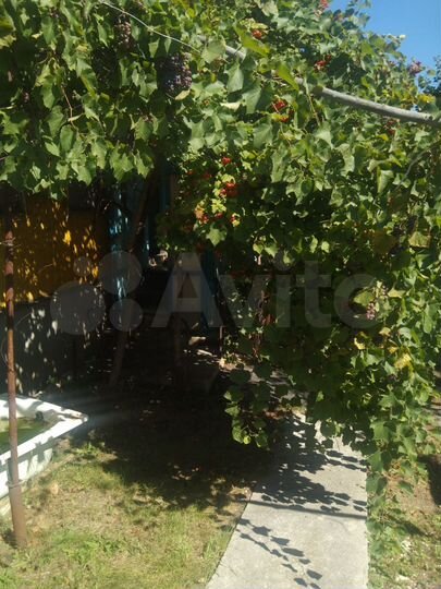 Дом 84 м² на участке 25 сот.