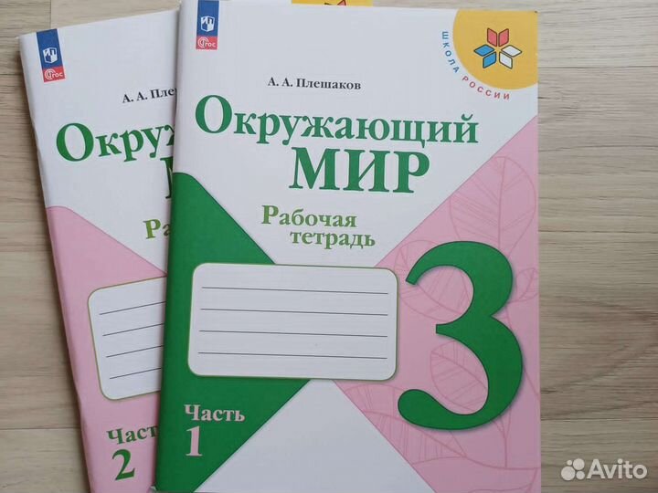Рабочая тетрадь окружающий мир плешаков 3 класс