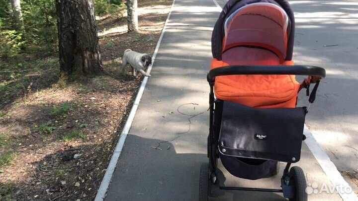 Коляска 2 1 zippi бу