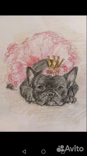 Рисунки по 500