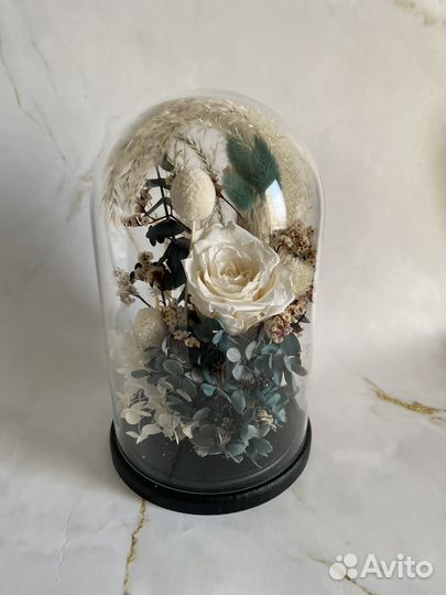 Сухоцветы. Вечный букет