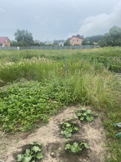 Участок 32,6 сот. (ИЖС)