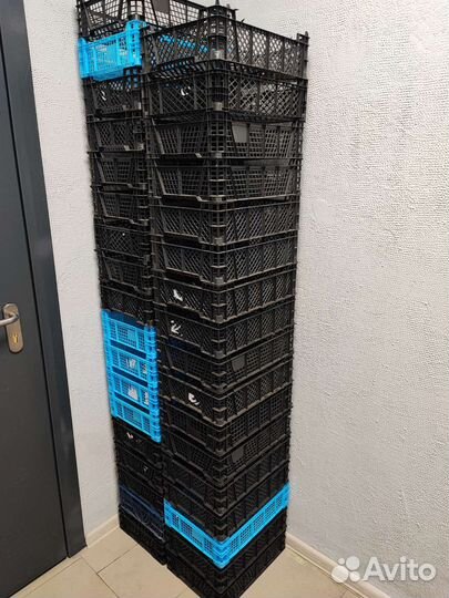 Пластиковые ящики (грибные)