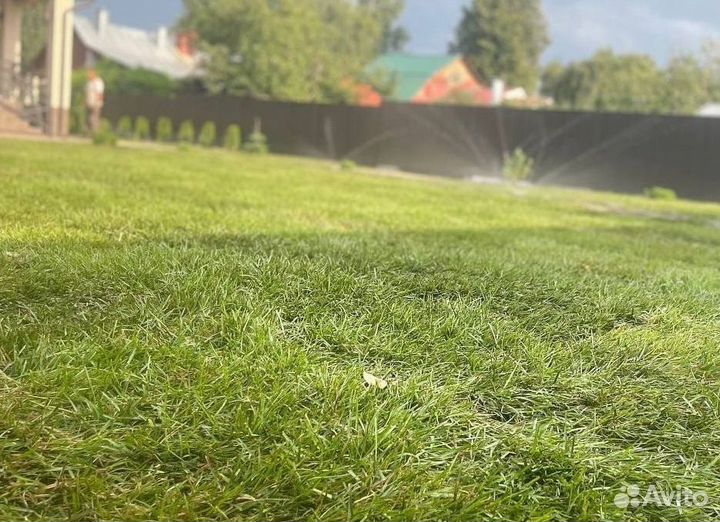 Рулонный газон