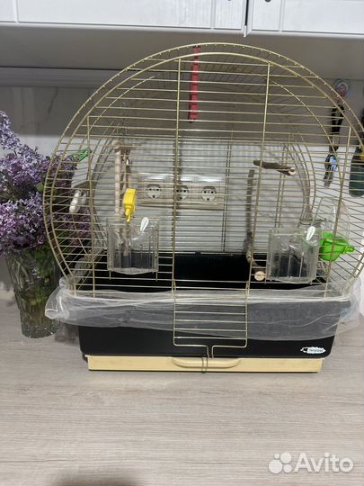 Попугай корелла с клеткой