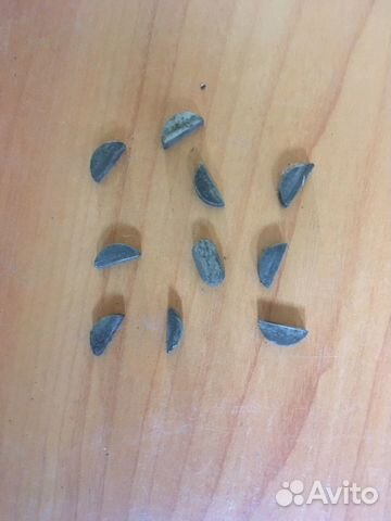 Ретро иж350 иж49