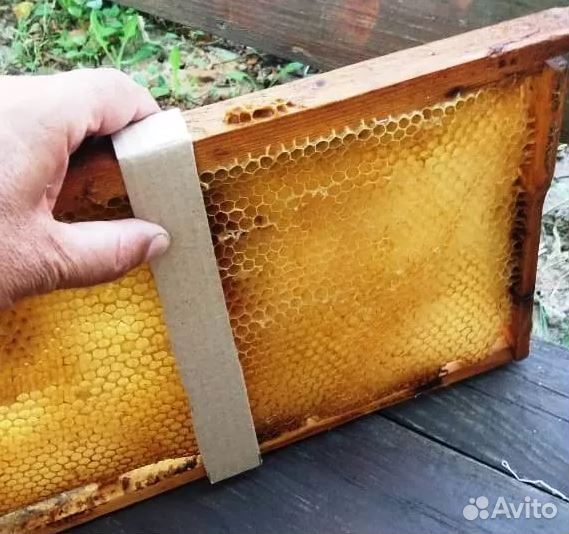 Кислота щавелевая