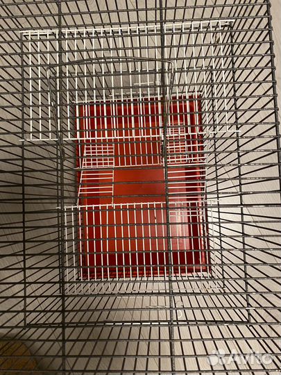 Клетка для крысы