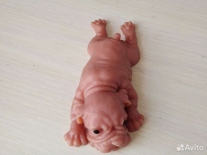 Сквиши собачки