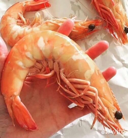 Креветки Королевские