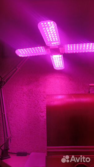 Фитолампа для растений