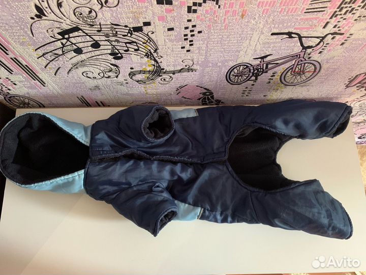 Одежда для собак