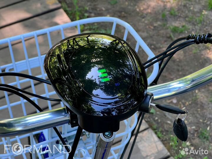 Электровелосипед GreenCamel Трайк-24 (синий)