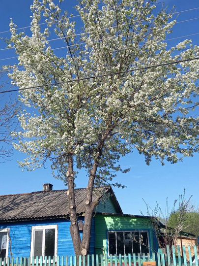 Дом 40,1 м² на участке 6 сот.