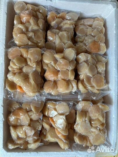 Рыба, икра и морепродукты