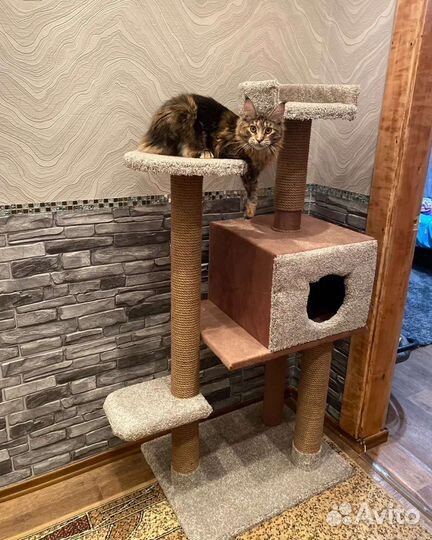 Домик когтеточка 95см новая