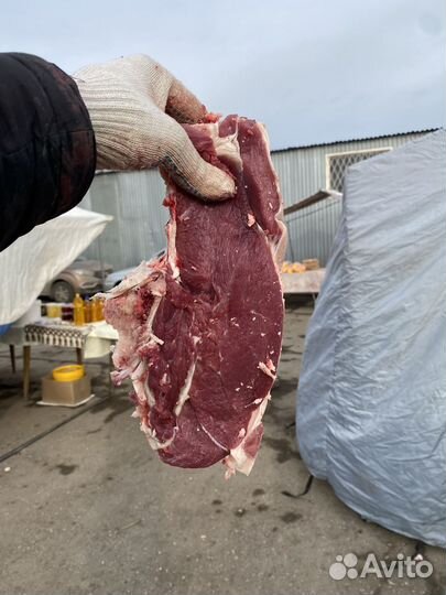 Деревенское мясо, говядина, телятина, баранина