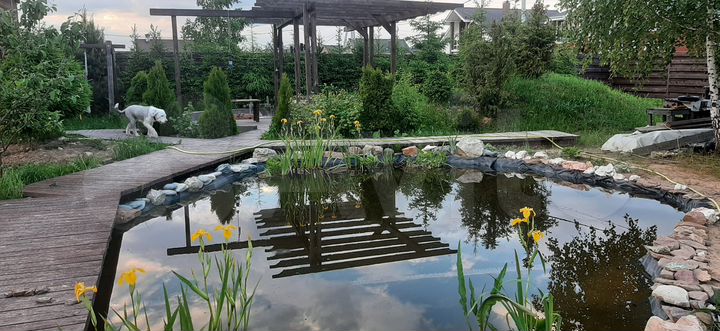 Участок 10 сот. (ИЖС)