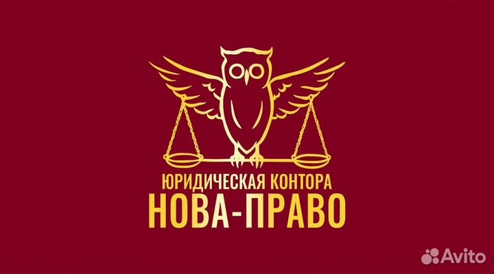 Адвокаты и юристы