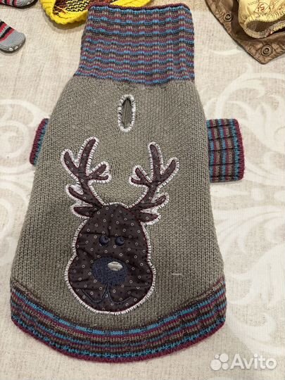 Одежда для собачки мелкой породы