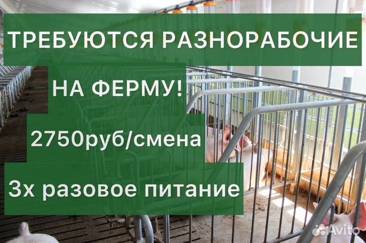 Разнорабочие на ферму