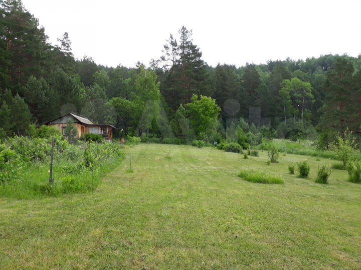 Участок 50 сот. (СНТ, ДНП)