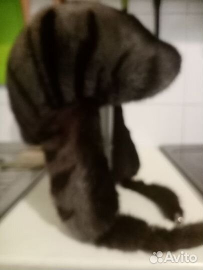 Шапка норковая женская бу