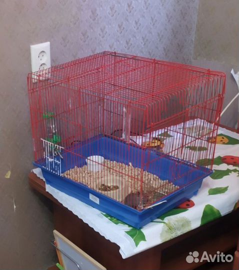 Клетка для попугаев и грызунов