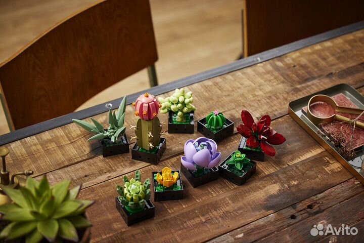 Аналог Лего Конструктор Суккуленты