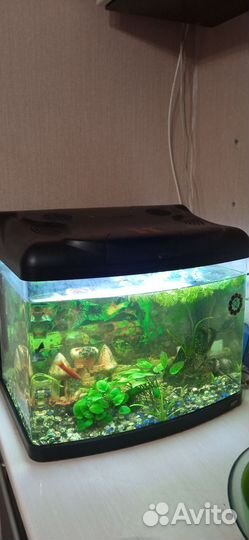 Аквариум